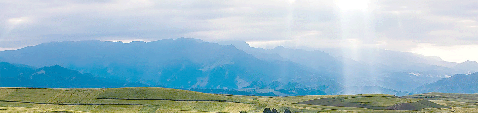 日韓無碼人妻不倫A片